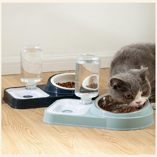 Cat Bowl Dog Feeder - Image 4