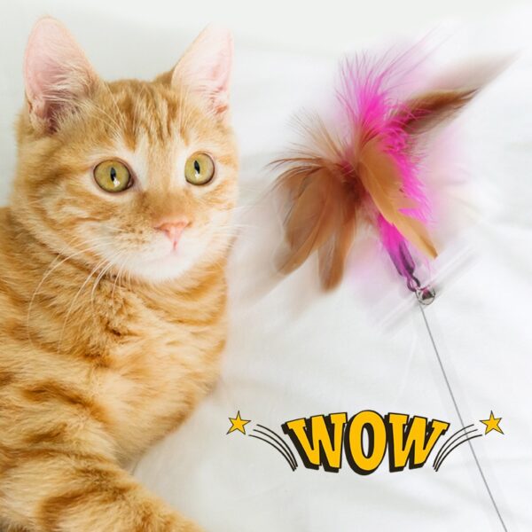 Interactive Cat Toys Funny Feather - Image 2