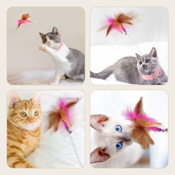 Interactive Cat Toys Funny Feather - Image 4